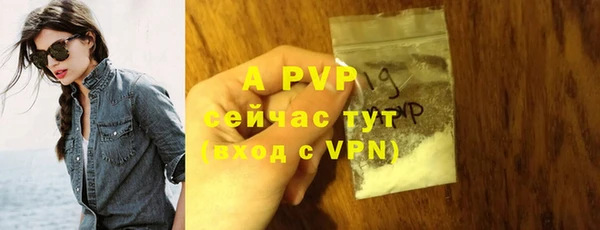 прущие грибы Богородицк